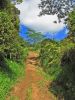 Powerline Trail south